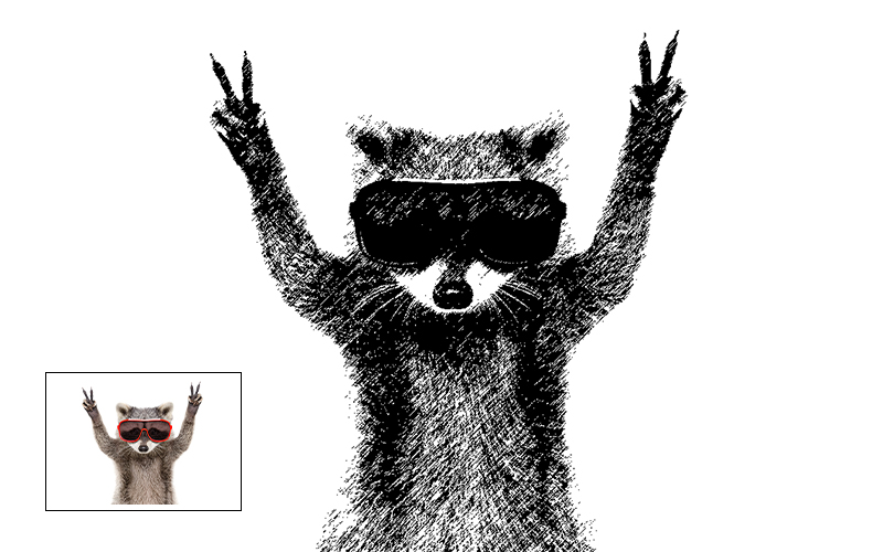 Drawing of a raccoon wearing a blindfold.