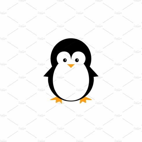 penguin logo vector design animal cover image.