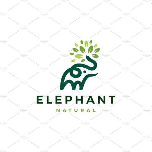 elephant leaf leaves tree logo cover image.