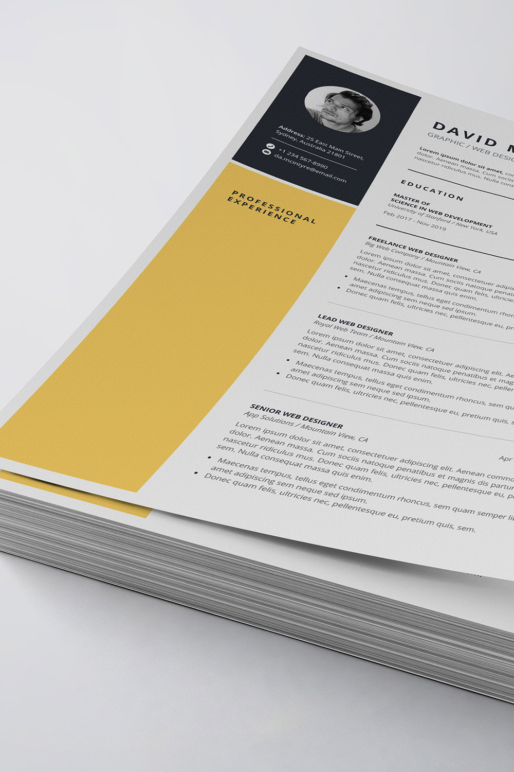 Professional resume/CV template - MasterBundles