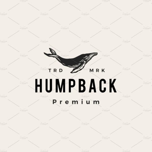 humpback whale hipster vintage logo cover image.