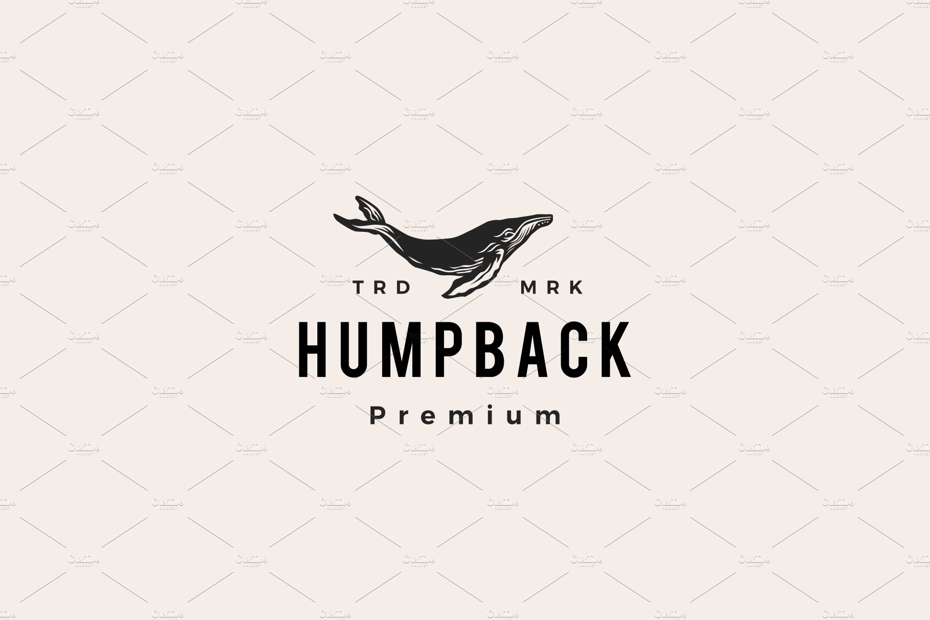 humpback whale hipster vintage logo cover image.