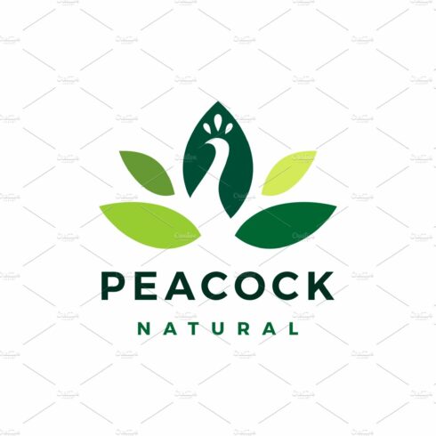 peacock leaf natural logo vector cover image.