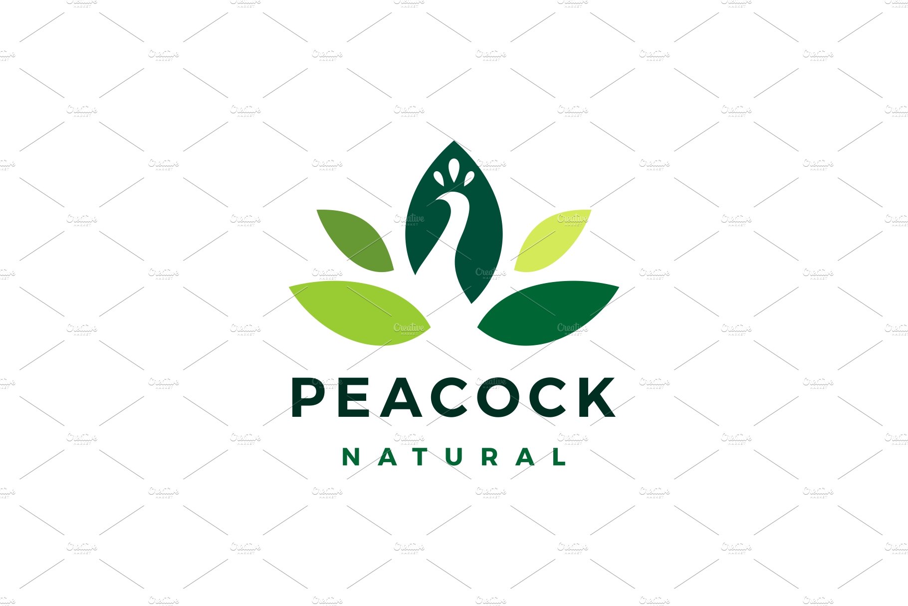 peacock leaf natural logo vector cover image.