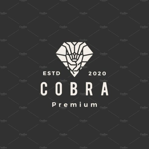 cobra in diamond shape hipster cover image.