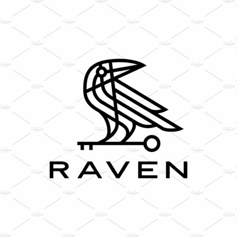 raven crow key black bird monoline cover image.