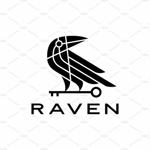 raven crow key black bird logo cover image.