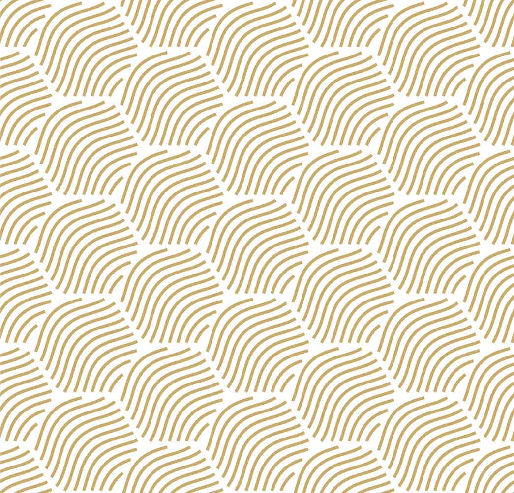 White background with a wavy pattern.
