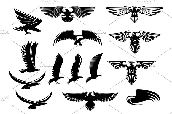 Eagle, falcon and hawk birds set cover image.