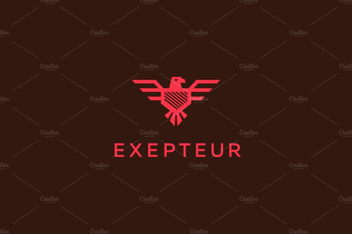 Eagle falcon bird logo cover image.