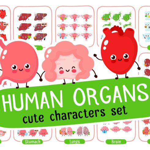 Cute human organs set cover image.