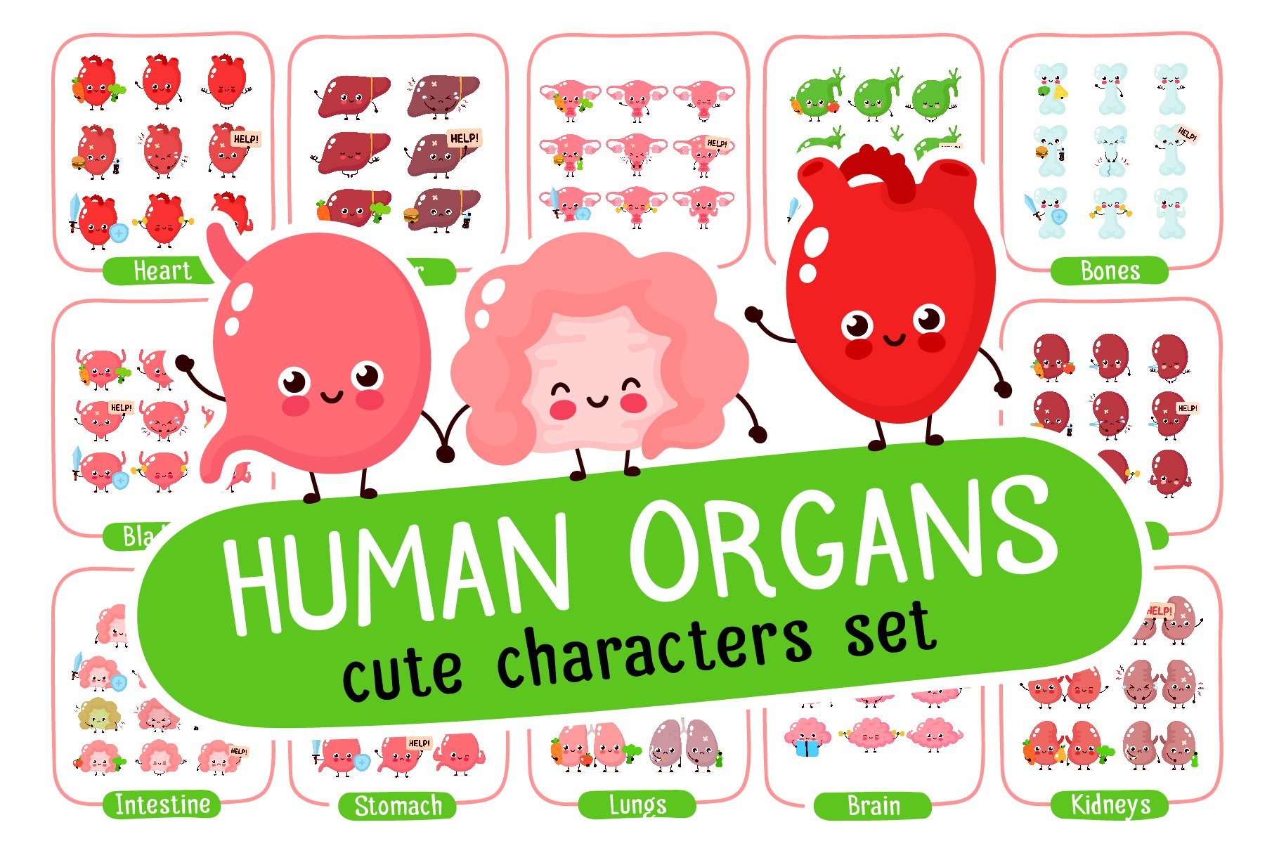 Cute human organs set cover image.
