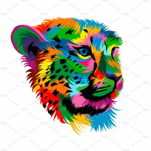 Cheetah head portrait cover image.