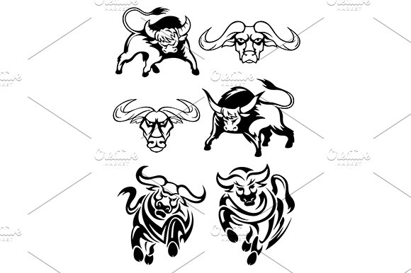 Black and white bulls or buffaloes cover image.