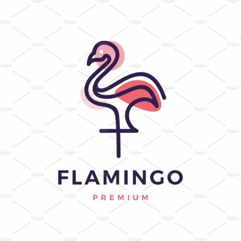 flamingo logo vector icon cover image.
