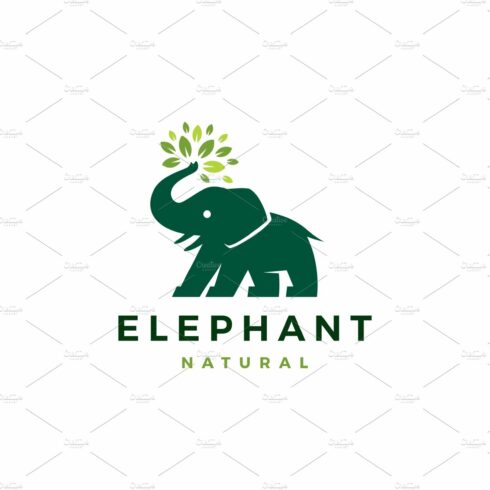 elephant leaf leaves tree logo cover image.