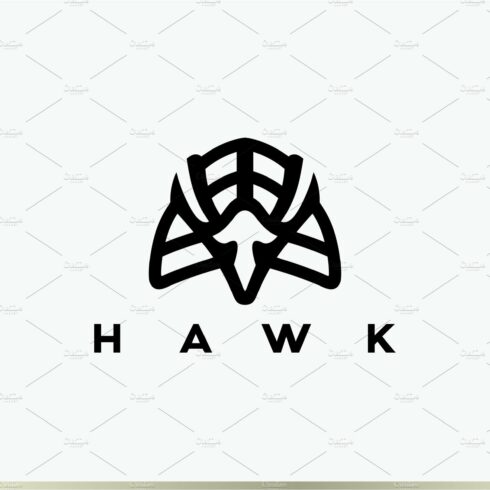 Abstract Hawk Head Logo cover image.