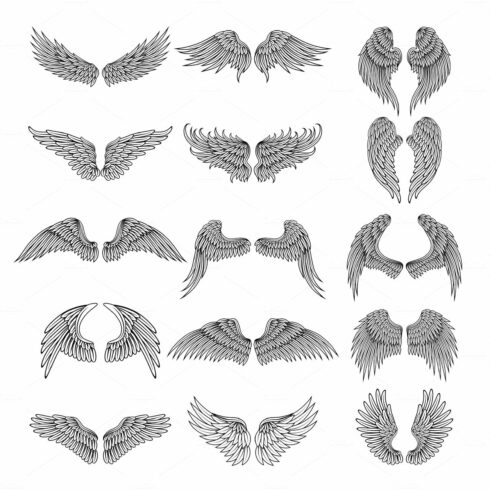 Tattoo design pictures of different stylized wings. Vector illustrations fo... cover image.