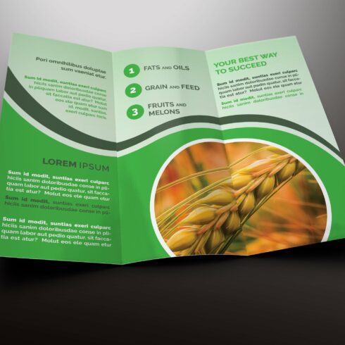 Agriculture Tri-fold Brochures cover image.