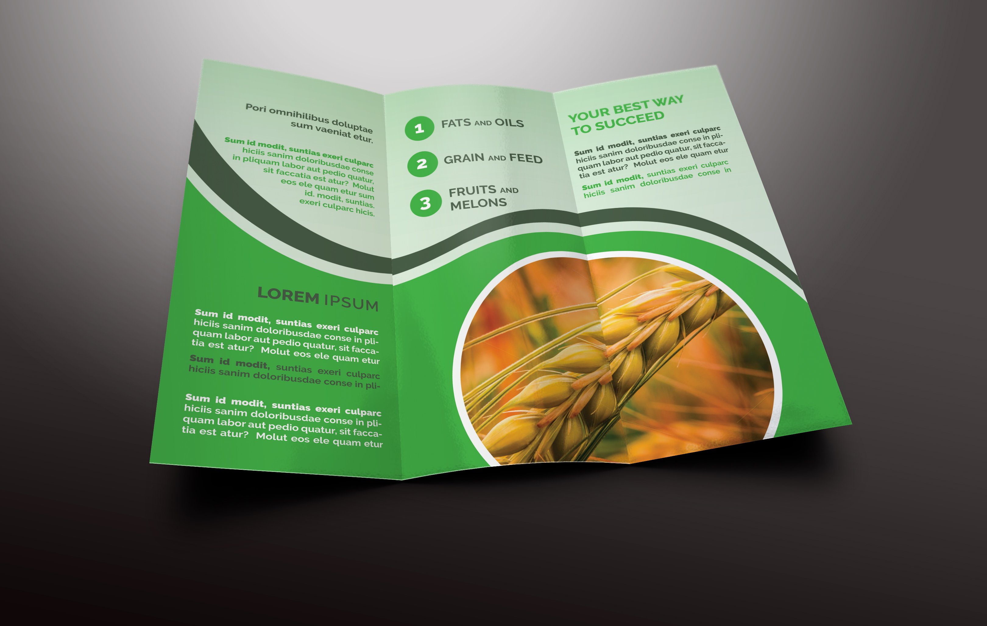 Agriculture Tri-fold Brochures cover image.