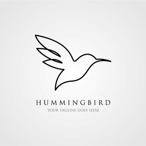 hummingbird line logo icon designs cover image.