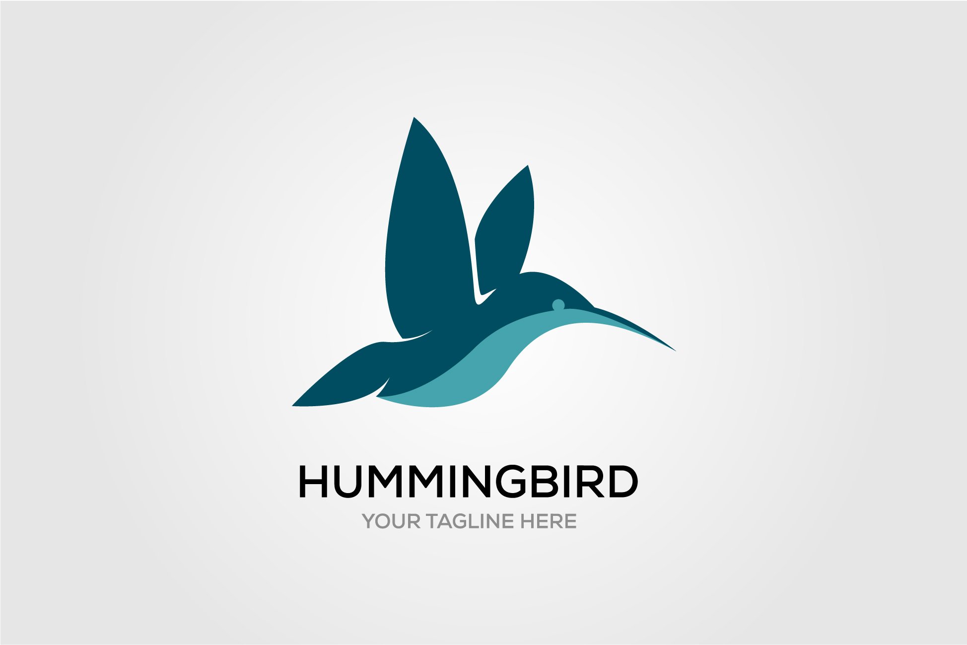 hummingbird vintage bird logo design cover image.