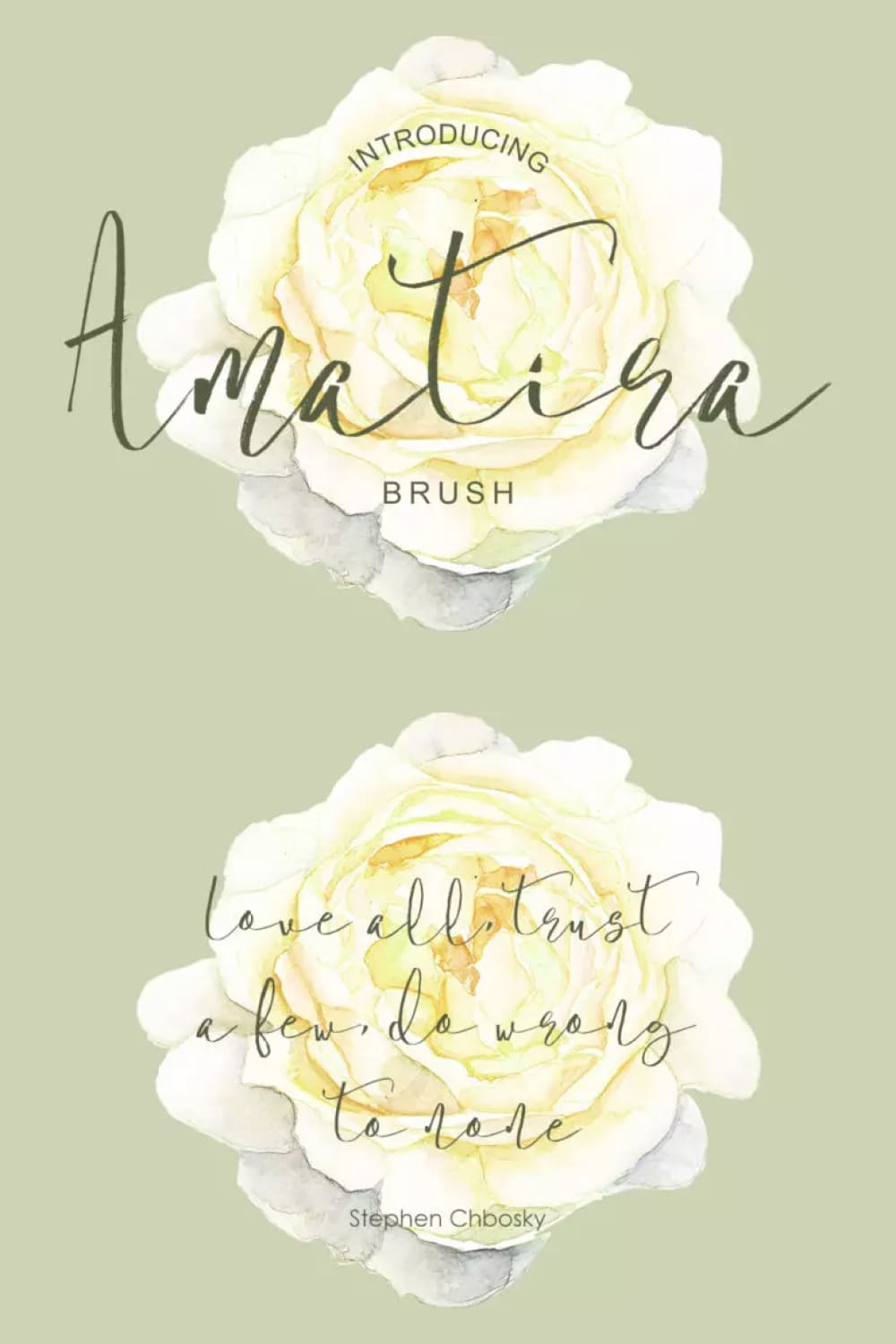 Font name Amarita on yellow rose buds background.