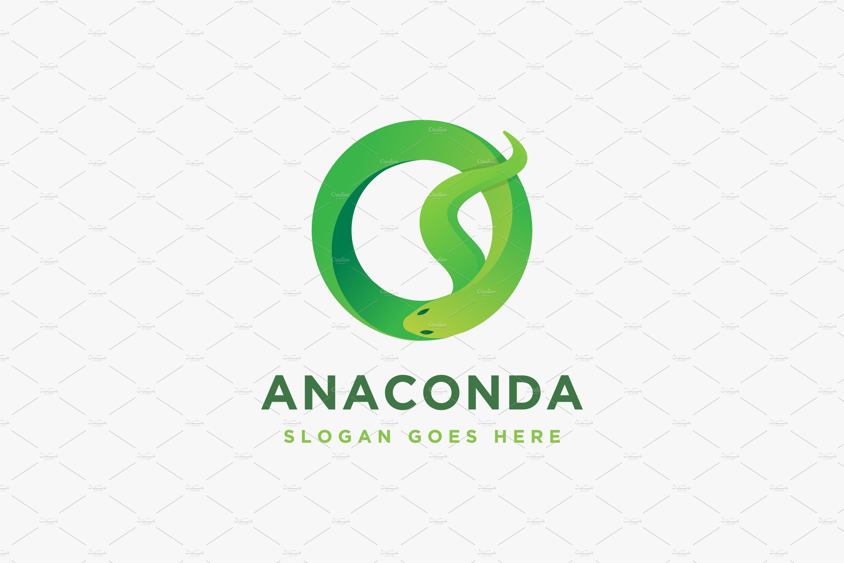 Abstract Anaconda snake logo cover image.