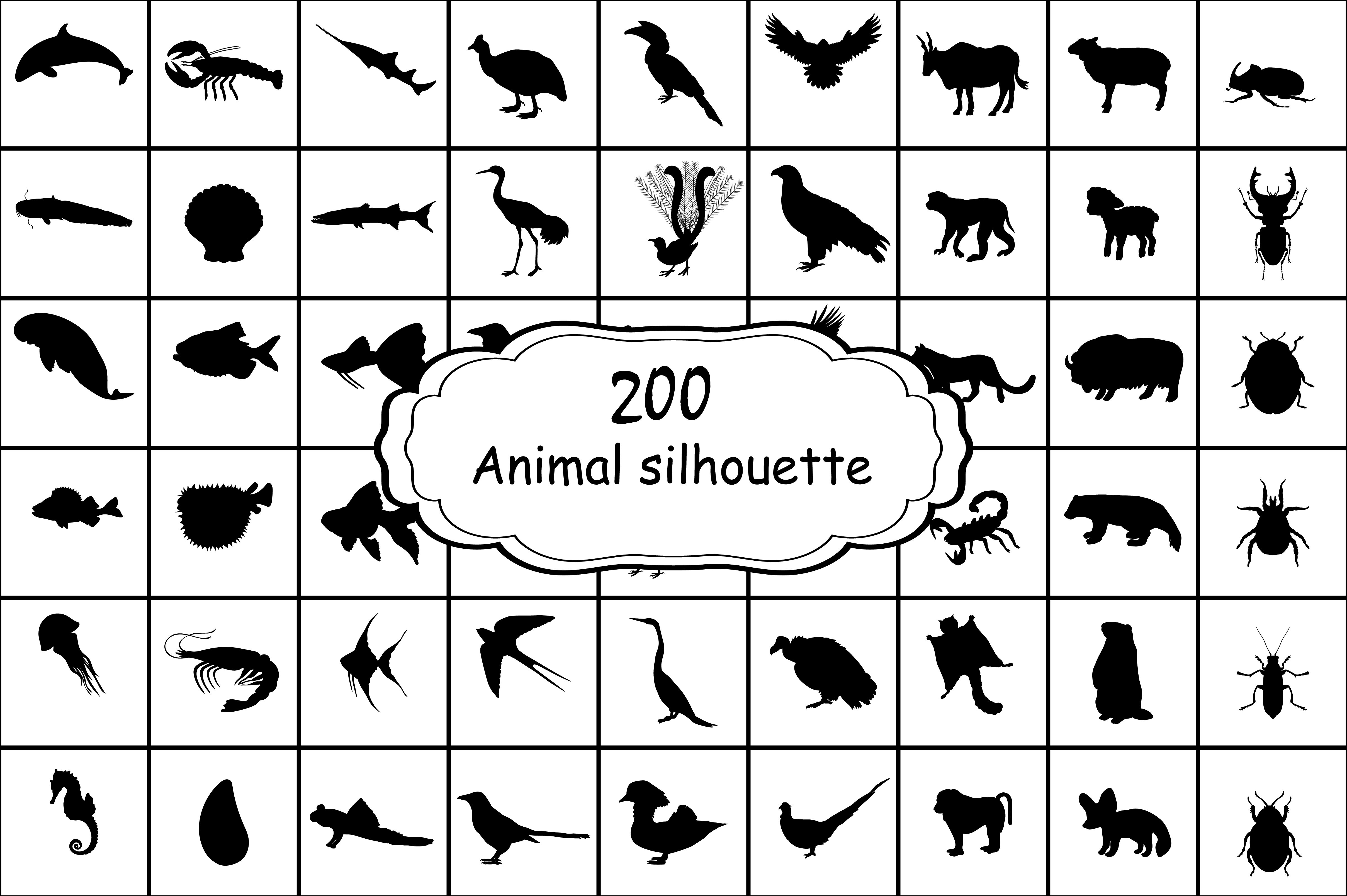 animals 1 07 520
