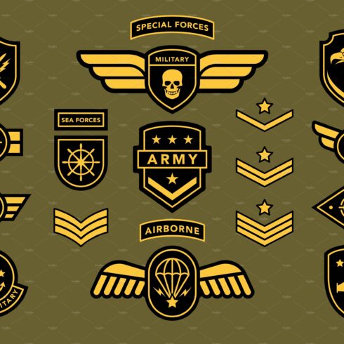 Special force army insignia label cover image.