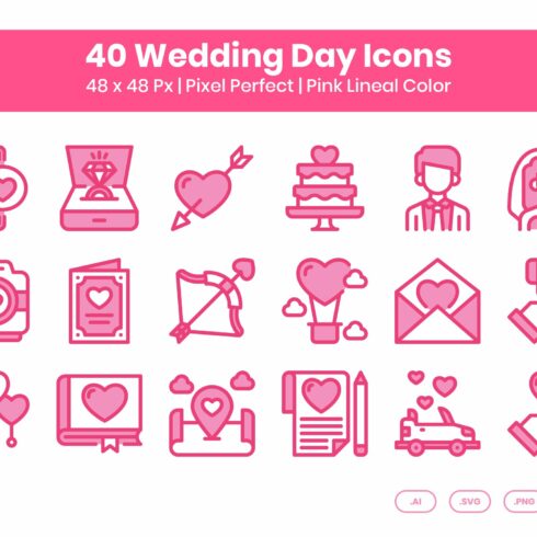 40 Wedding Day - Lineal Color cover image.
