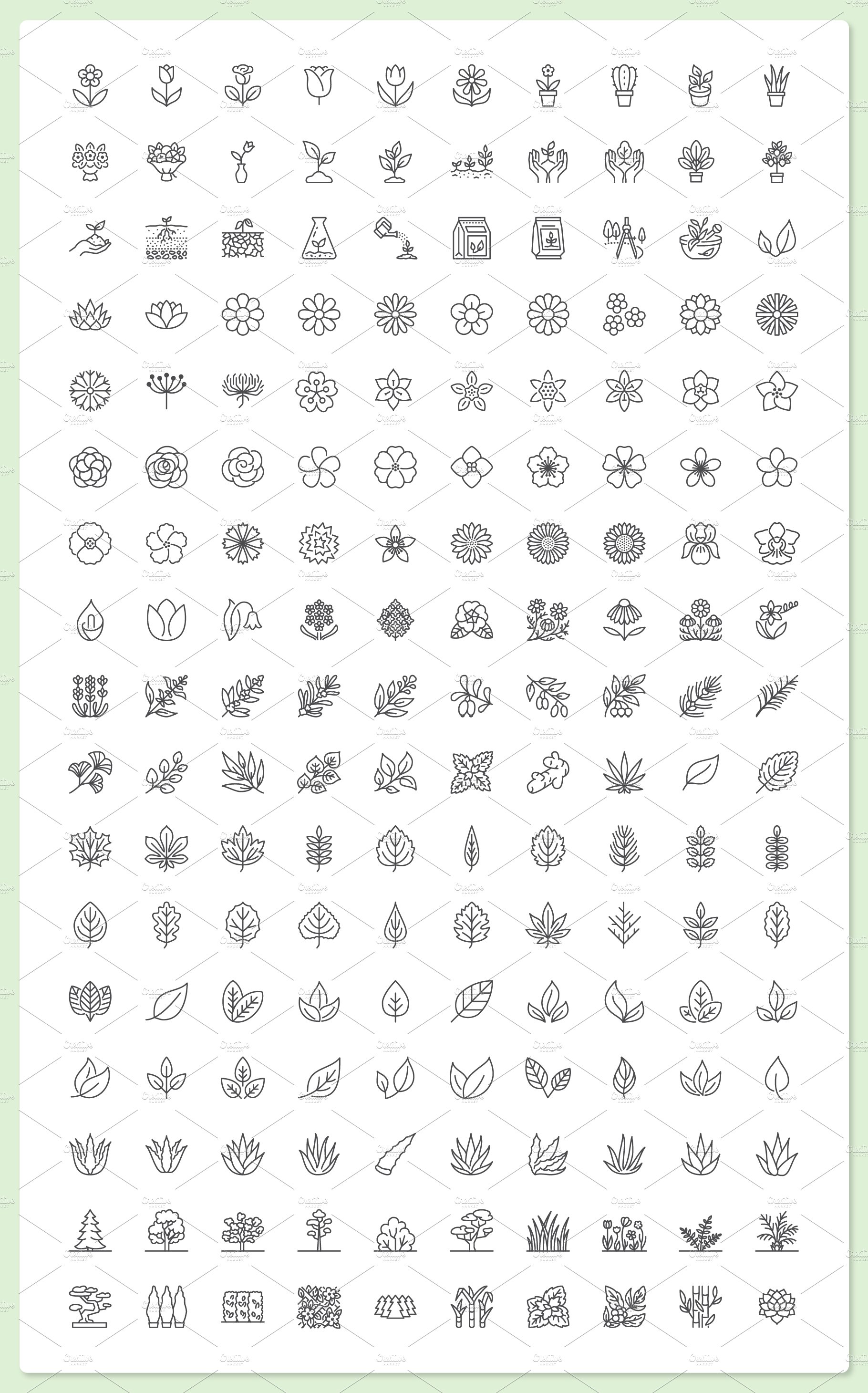 170 Plants & Flowers Icons preview image.