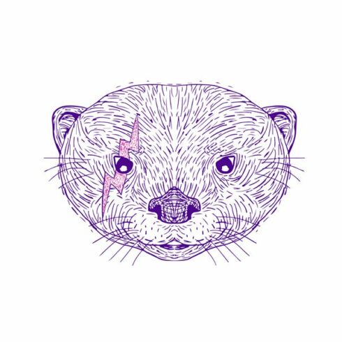 Otter Head Lightning Bolt Drawing cover image.