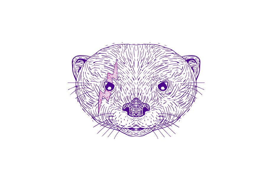 Otter Head Lightning Bolt Drawing cover image.