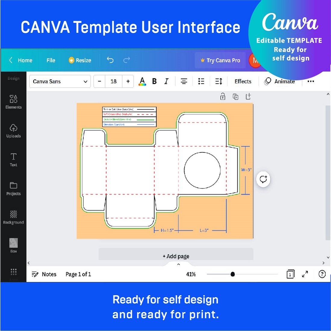 Screen shot of the canva template user interface.