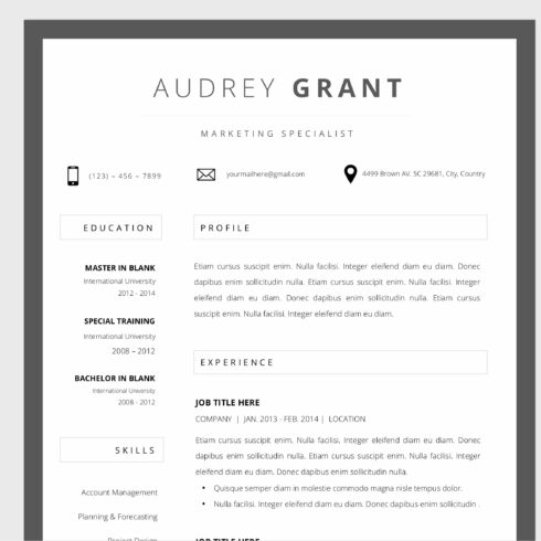 RESUME CV TEMPLATE WORD cover image.