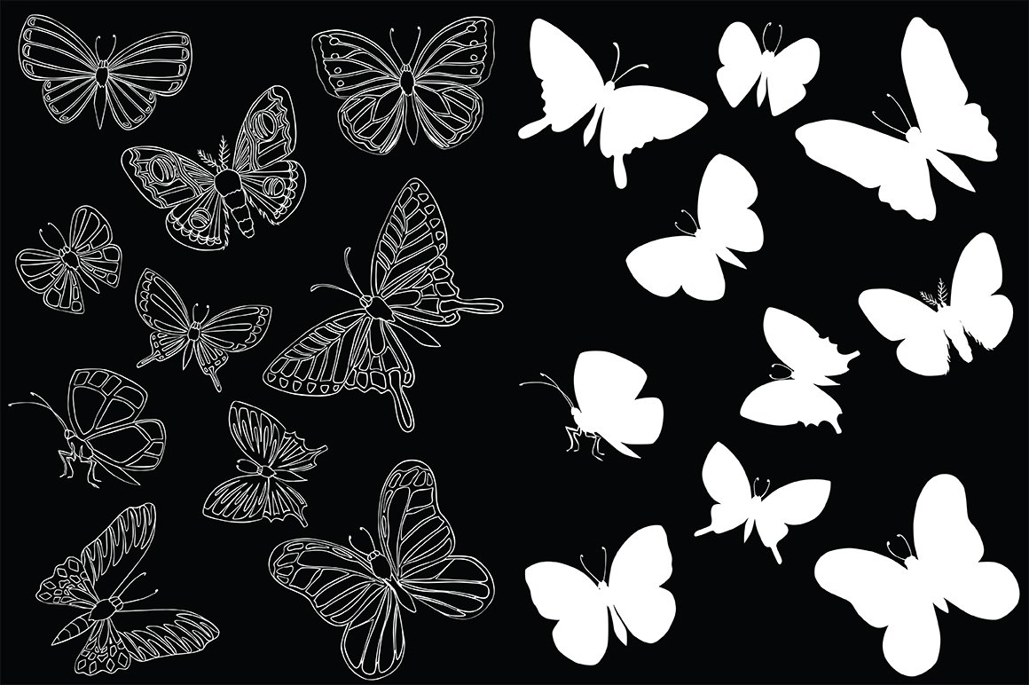 Vector illustration of butterflies preview image.