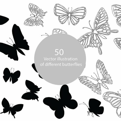 Vector illustration of butterflies cover image.