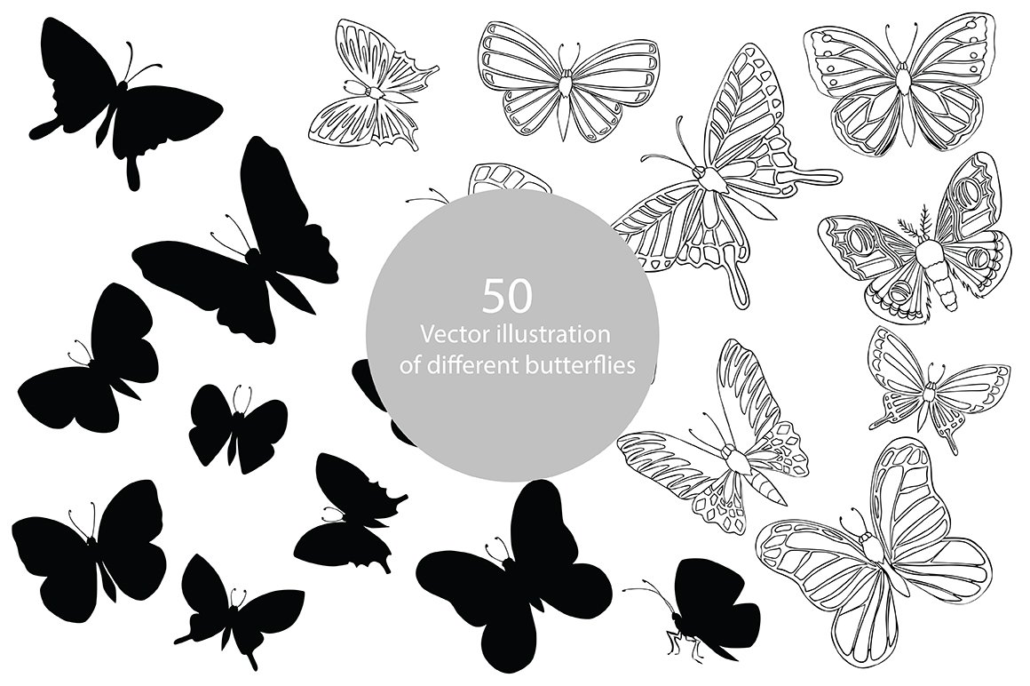 Vector illustration of butterflies cover image.