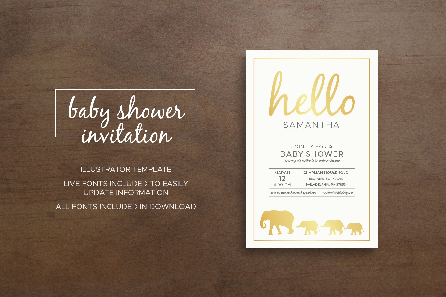 Zoo Baby Shower Invitation cover image.