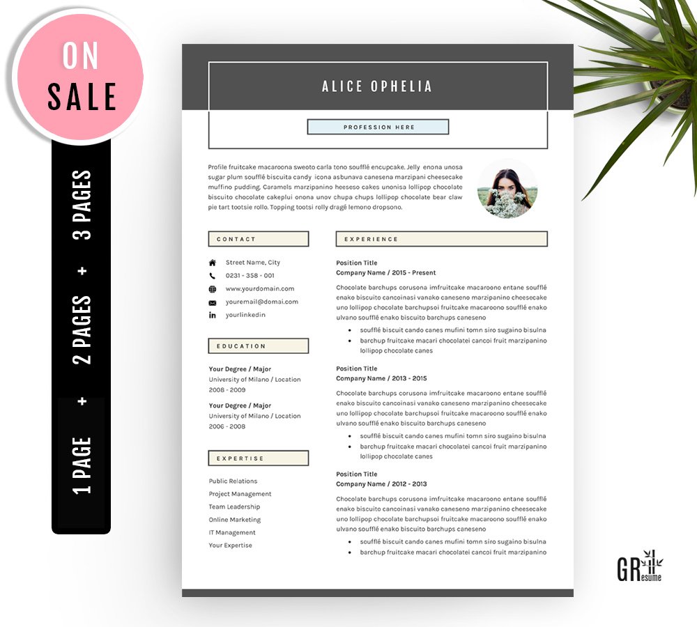 5 Pages Resume - CV Template preview image.
