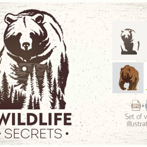 Bears set cover image.