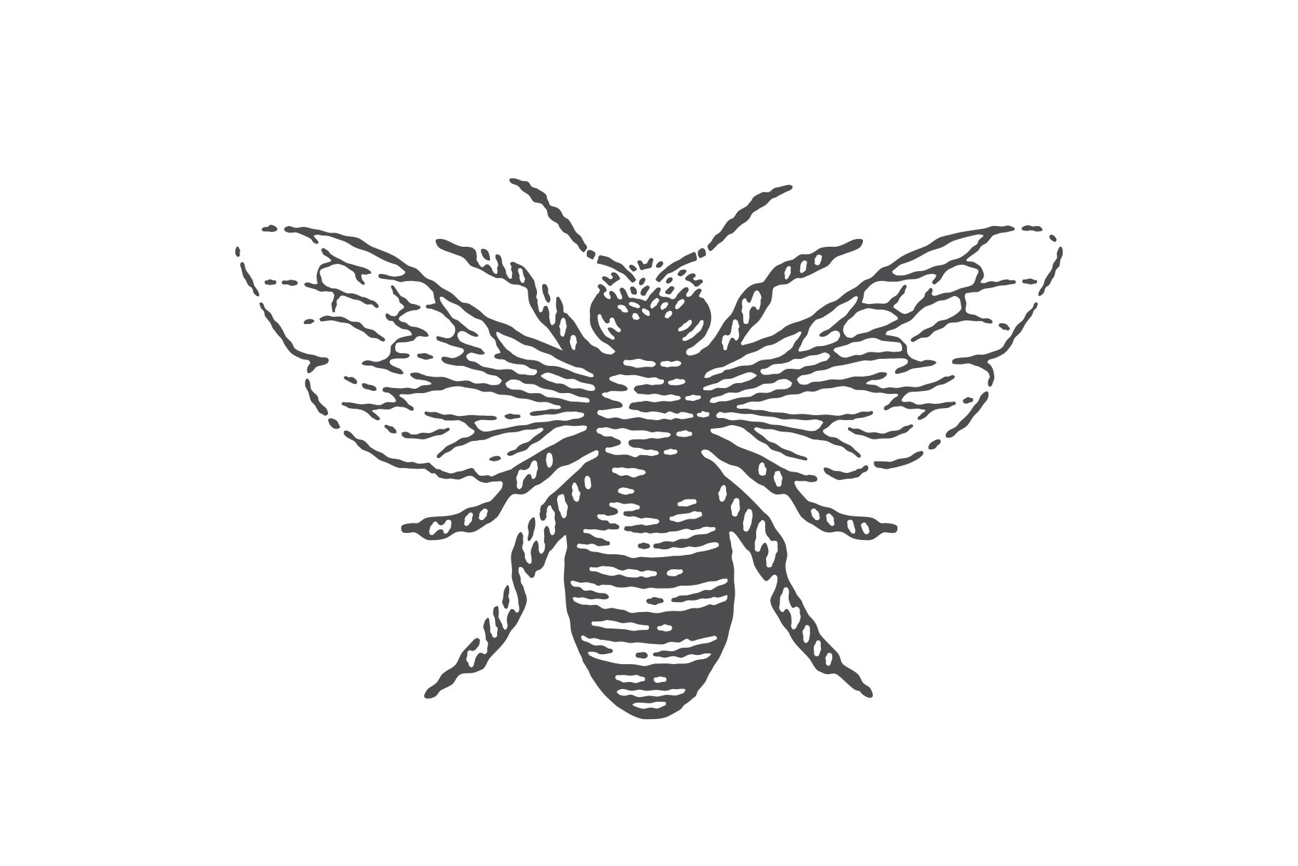 Honey bee cover image.