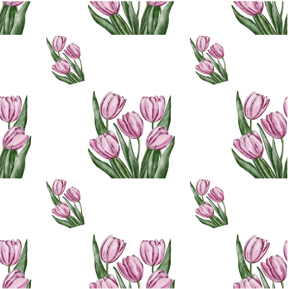 Bunch of pink tulips on a white background.