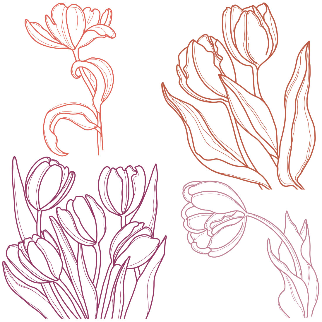 Watercolor illustrations of tulips preview image.