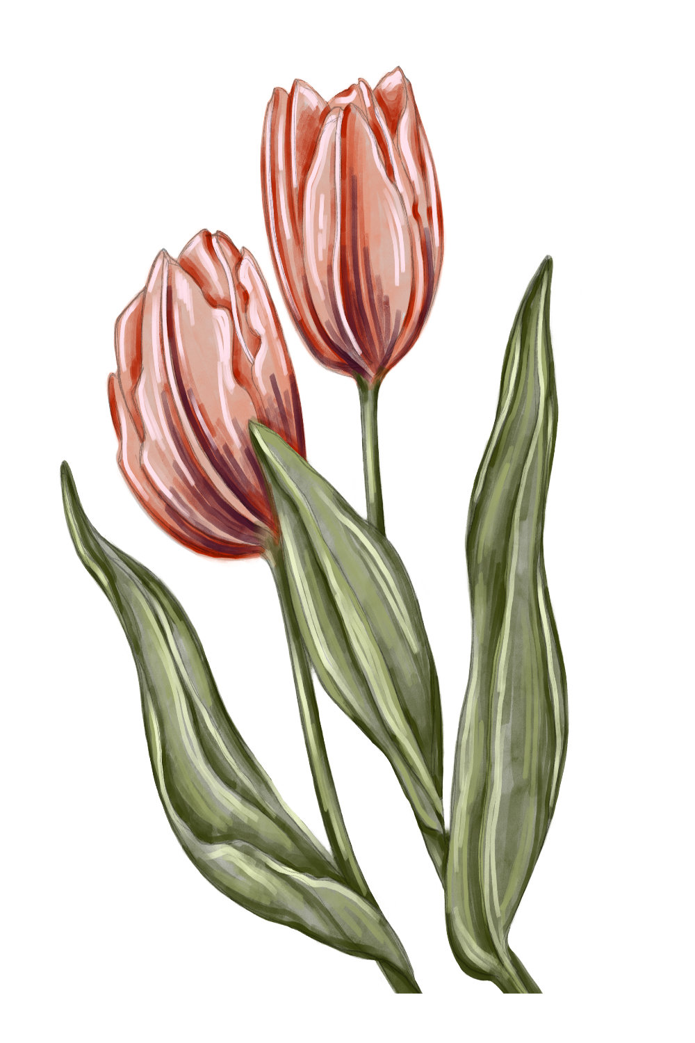 Watercolor illustrations of tulips pinterest preview image.
