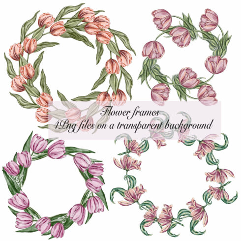 Flower frames cover image.