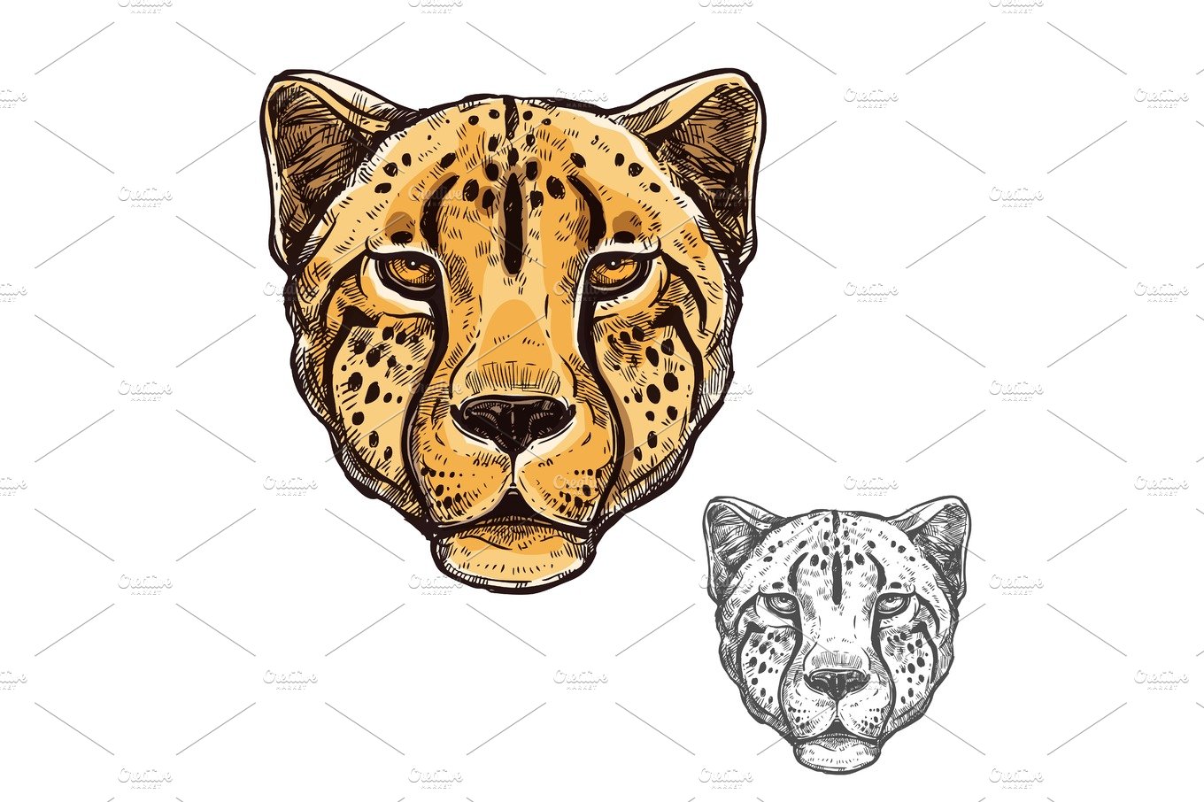 Cheetah muzzle African wild animal vector icon cover image.