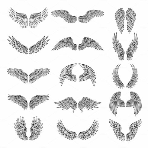 Monochrome illustrations set of different stylized wings for logos or label... cover image.