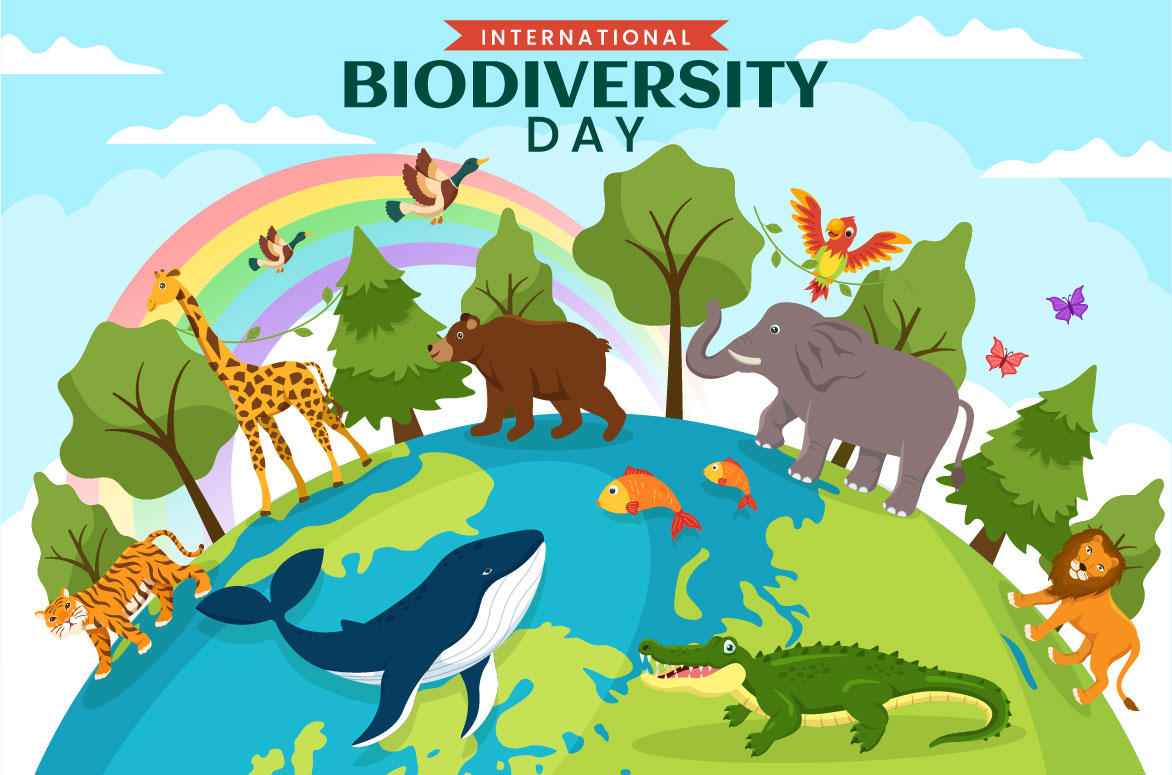 Poster with animals and a rainbow in the background.